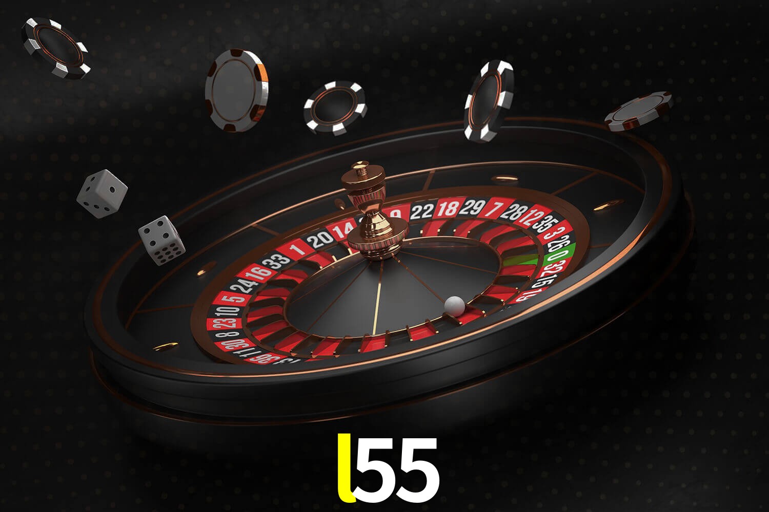 l55